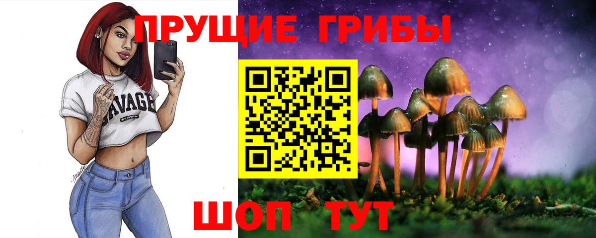Галлюциногенные грибы GOLDEN TEACHER Десногорск