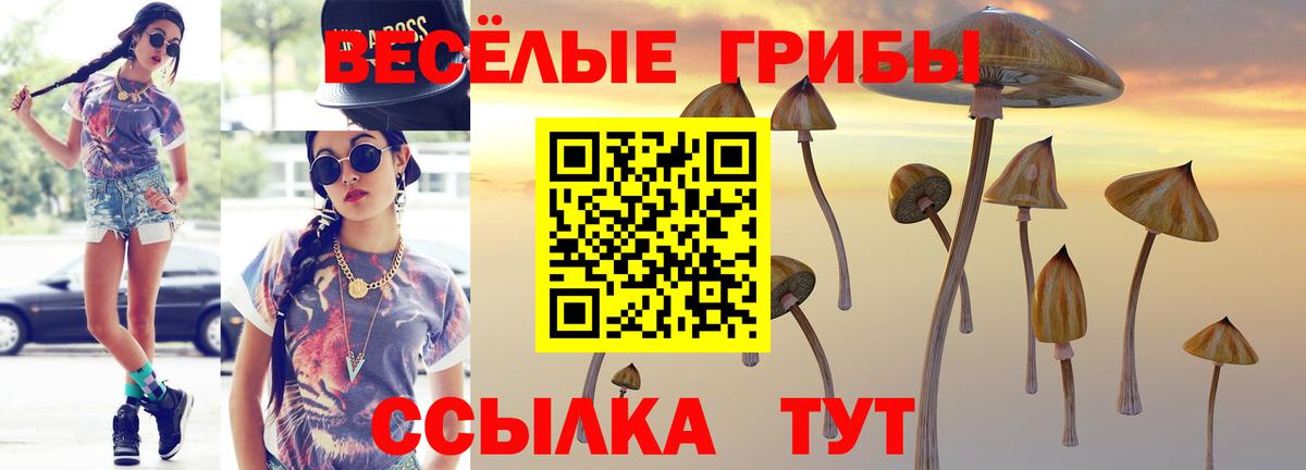 Десногорск  Псилоцибиновые грибы прущие грибы  Вход с VPN 